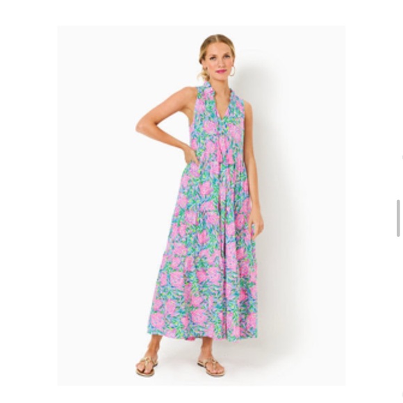 NWT. Lily Pulitzer maxi dress. Style: Malone Maxi Dress. - Picture 1 of 5